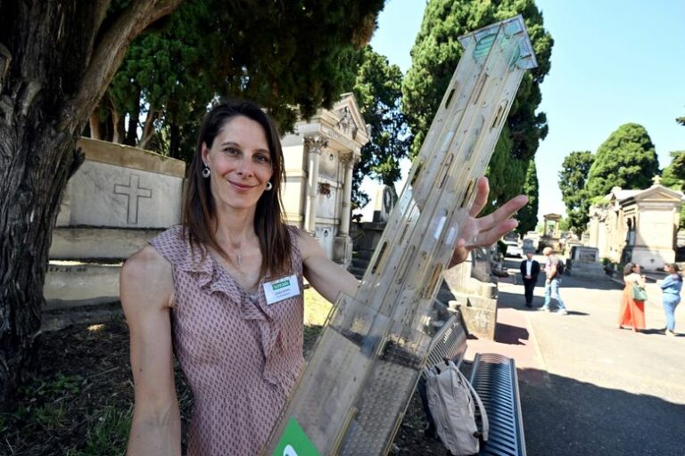 "Nuestros equipos vendrán a liberar cerca de 200,000 machos": En