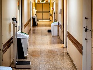 Canícula: un estudio sobre 36,6 millones de nacimientos revela una