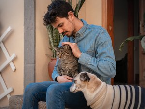 DECRYPTAJE. Las gastos en perros y gatos explotan: cómo los