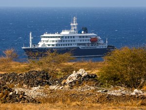 DIRECTO. Hantavirus en un barco de crucero: el buque se