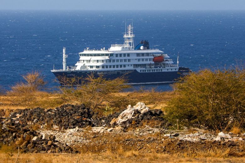DIRECTO. Hantavirus en un barco de crucero: el jefe de