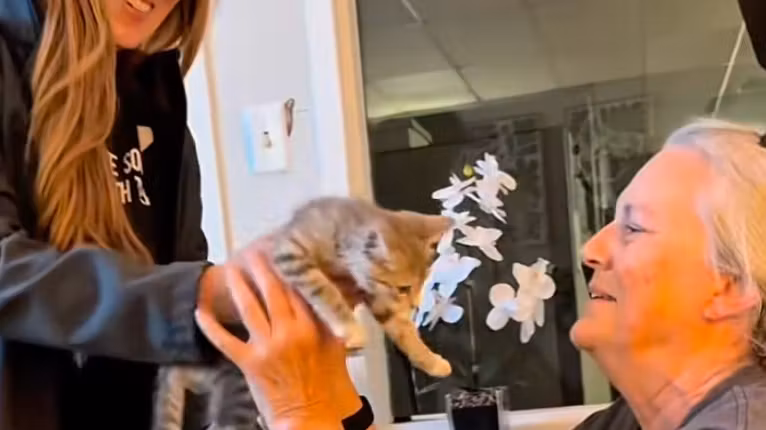 En Estados Unidos, el rescate improbable de este gatito caído