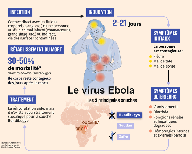 Epidemia de Ébola: nueva emergencia sanitaria mundial