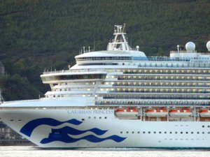 Nueva epidemia en un crucero: un brote de norovirus detectado