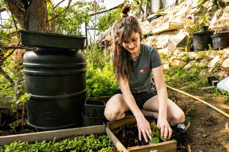 "Plantar pequeñas semillas en ciertas cabezas": de Ariège a Sarthe,