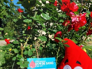 Réalville. Recolección de sangre el 3 de junio: un gesto