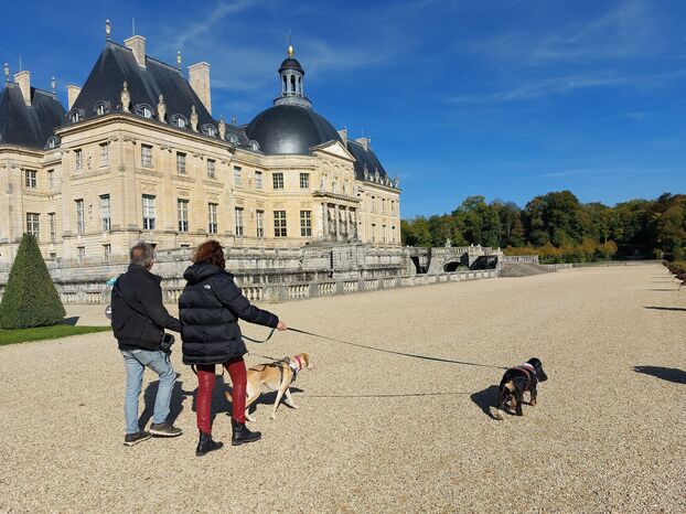 « Todo el mundo está contento »: Vaux-le-Vicomte abre definitivamente