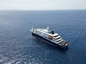 Virus mortal en un crucero: "No tenemos antivirales específicos ni