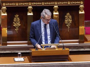 Vacunación contra el papilomavirus: el diputado Michel Lauzzana alerta sobre