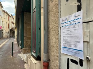 Moustique tigre: operación nocturna en Castres tras un caso importado