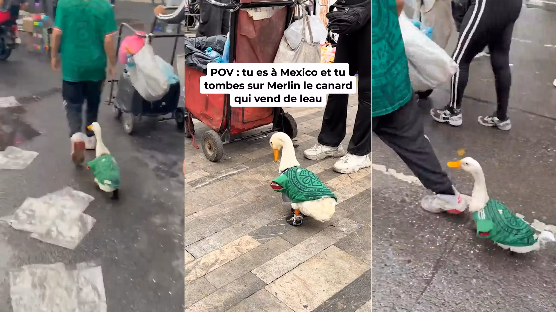 Copa del Mundo 2026: Merlin, el pato con camiseta mexicana,