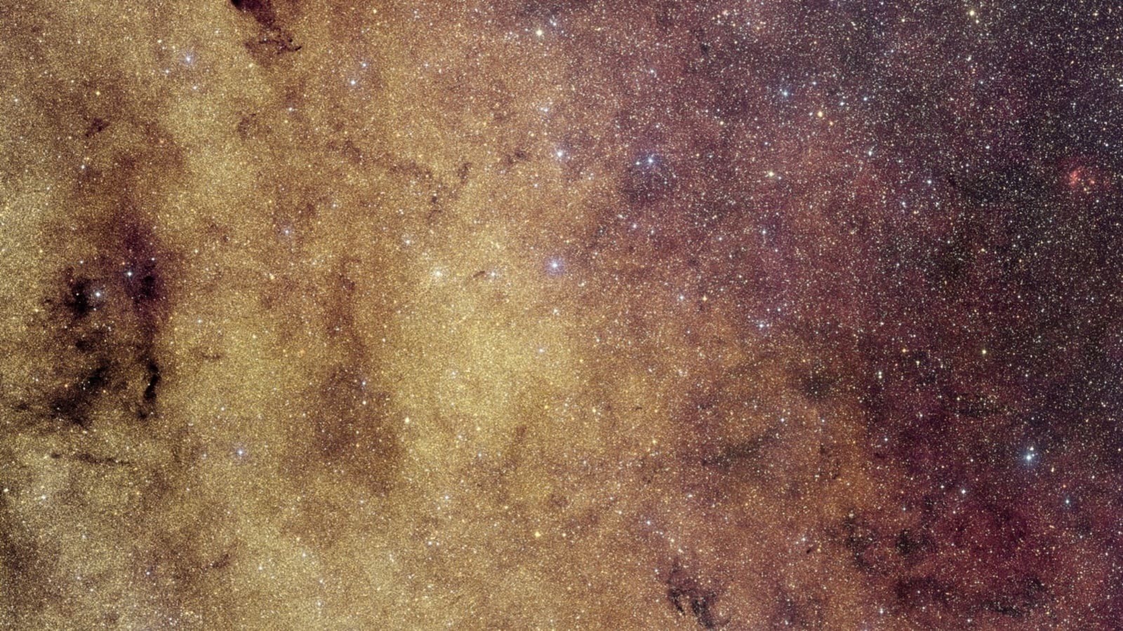 El telescopio europeo Euclid revela el corazón de la Vía
