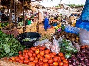Alimentos contaminados: 1,5 millones de muertes al año