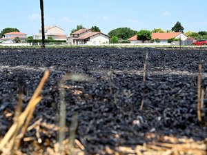 Canícula en Haute-Garonne: aumento de llamadas a urgencias, especialmente de