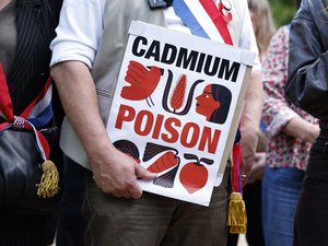 Contaminación por cadmio: cánceres, desmineralización ósea, insuficiencia renal... ¿Cuáles son