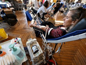 Donner sangre en el museo de los Abattoirs: dos colectas