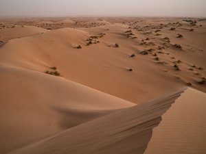 "Una masa de aire cargada de polvos desérticos": alerta naranja