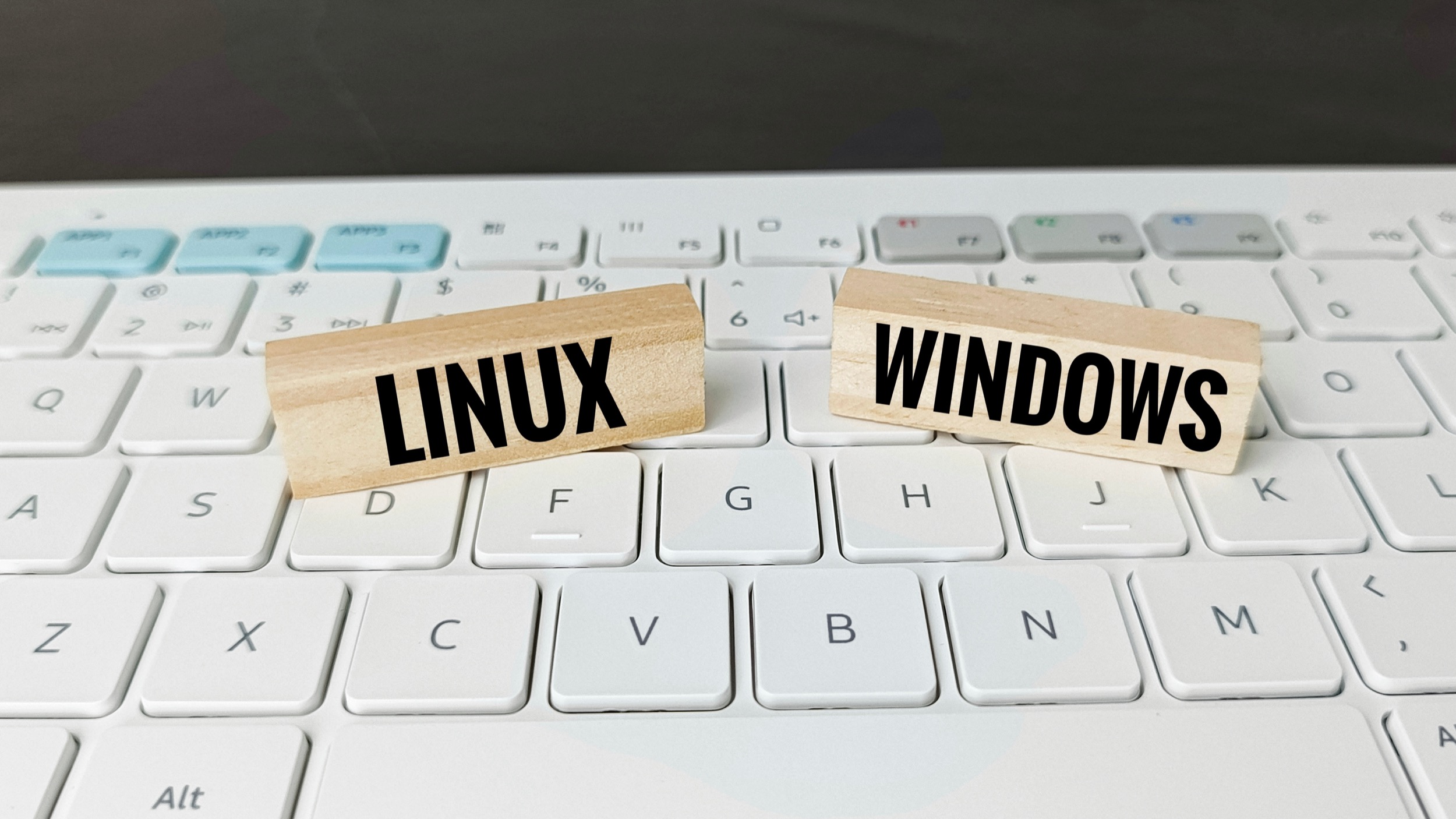 Windows 11 lleva aún más lejos su integración con Linux