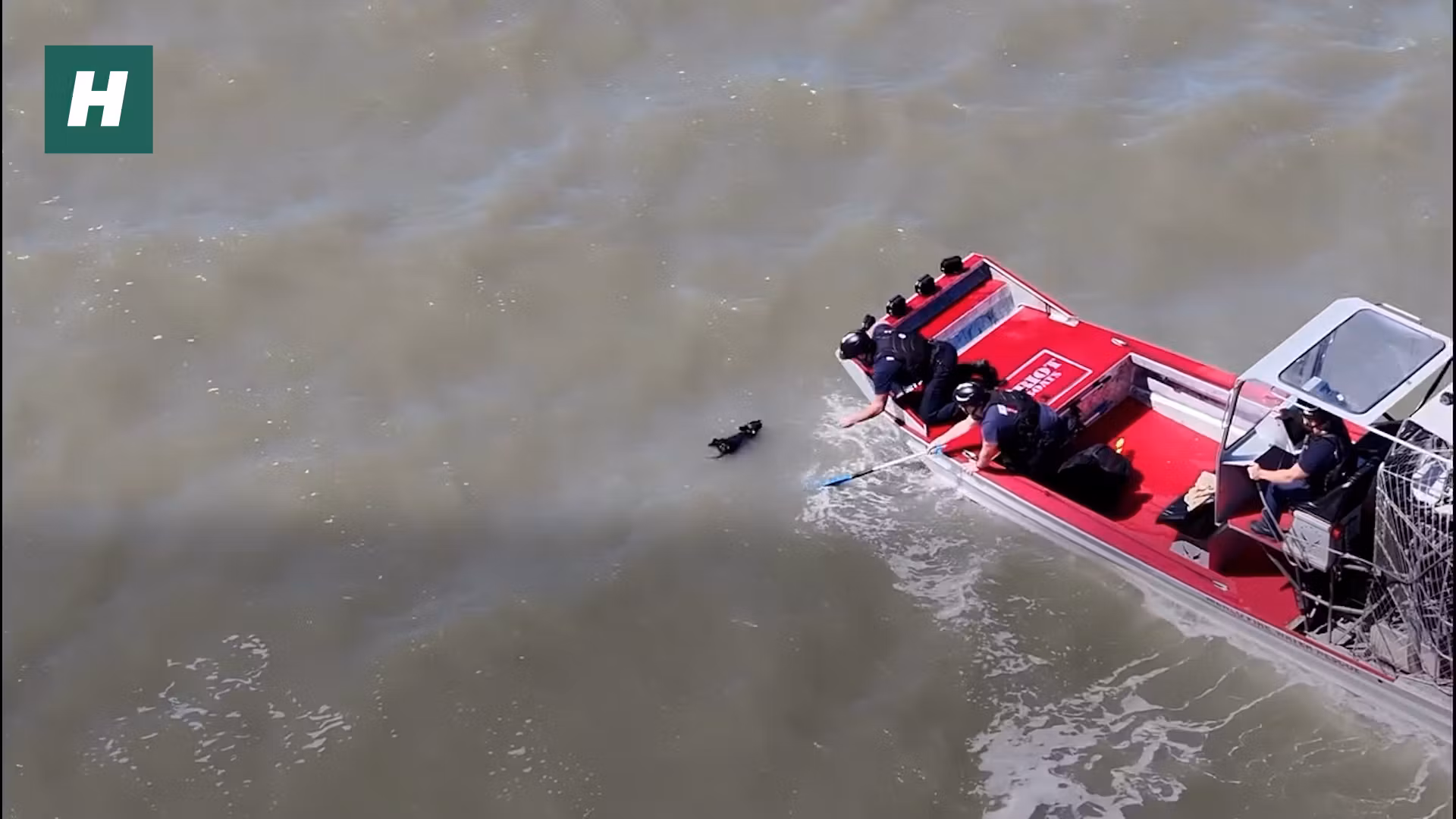 En California, este pequeño perro fue rescatado de las aguas
