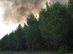 Incendies: Superación del umbral de alerta de contaminación por PM10