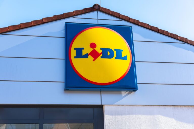 Canícula: los climatizadores Lidl revendidos hasta cuatro veces su precio