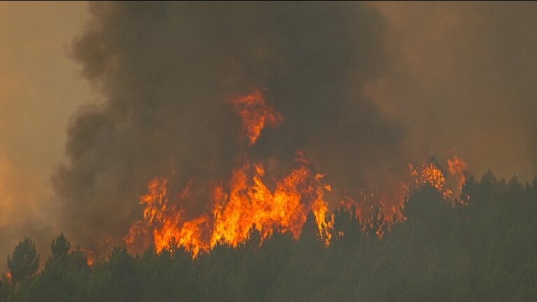 Durante un incendio, esta app permitió alertar y evacuar a
