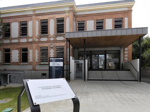 "Es una auténtica caza de brujas": por qué ocho de