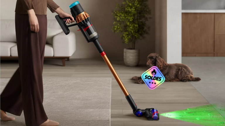 Este aspirador inalámbrico es perfecto para recoger pelos de animales