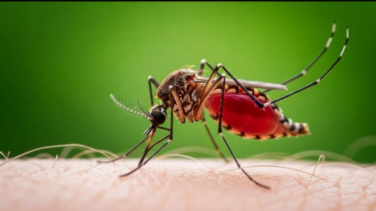 Este revolucionario láser DIY que apunta y mata mosquitos podría