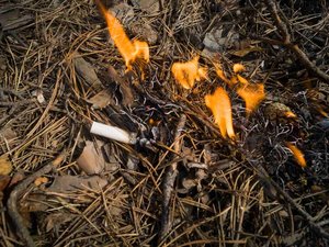 Incendies: estos 5 gestos de prevención que debes conocer