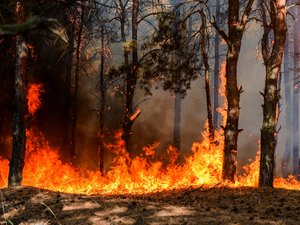 Irritaciones, dificultades respiratorias, riesgos cardíacos... ¿Cuáles son los peligros de