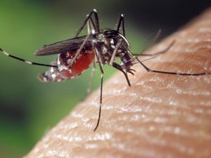 Launaguet. Reunión pública hoy para mejorar la lucha contra la
