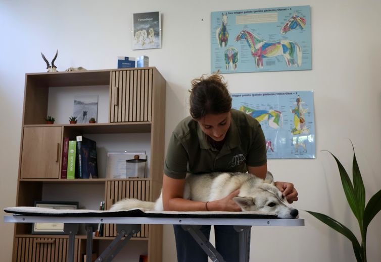 REPORTAJE. "El objetivo siempre es respetar al animal que tenemos