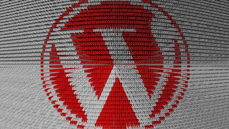 WordPress: fallas críticas RCE con exploits públicos, actualicen de inmediato