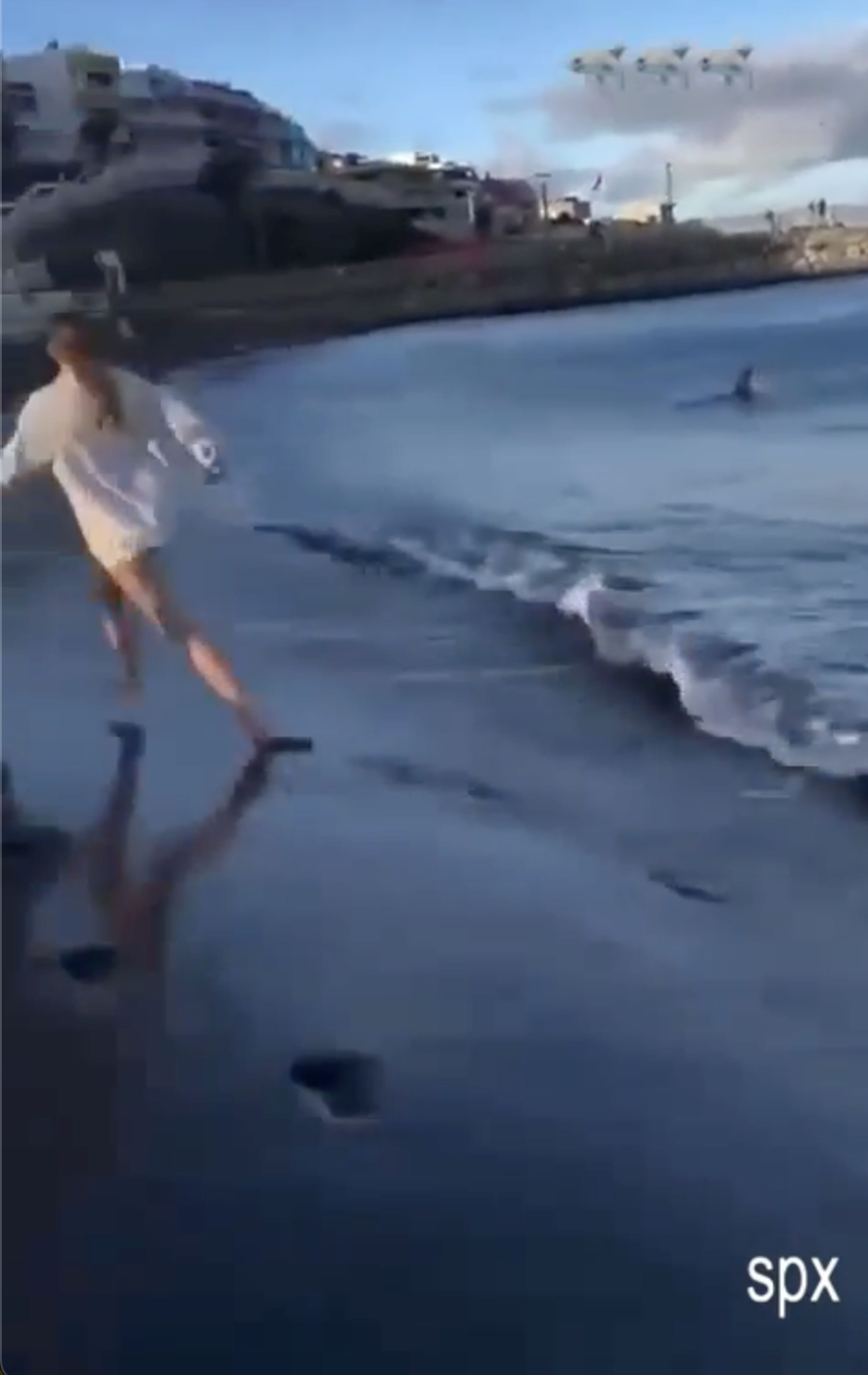 Des touristes terrifiés ont été vus fuyant la plage