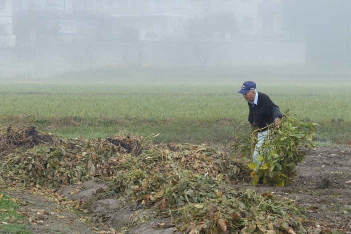 Un agriculteur âgé travaille dans un champ brumeux