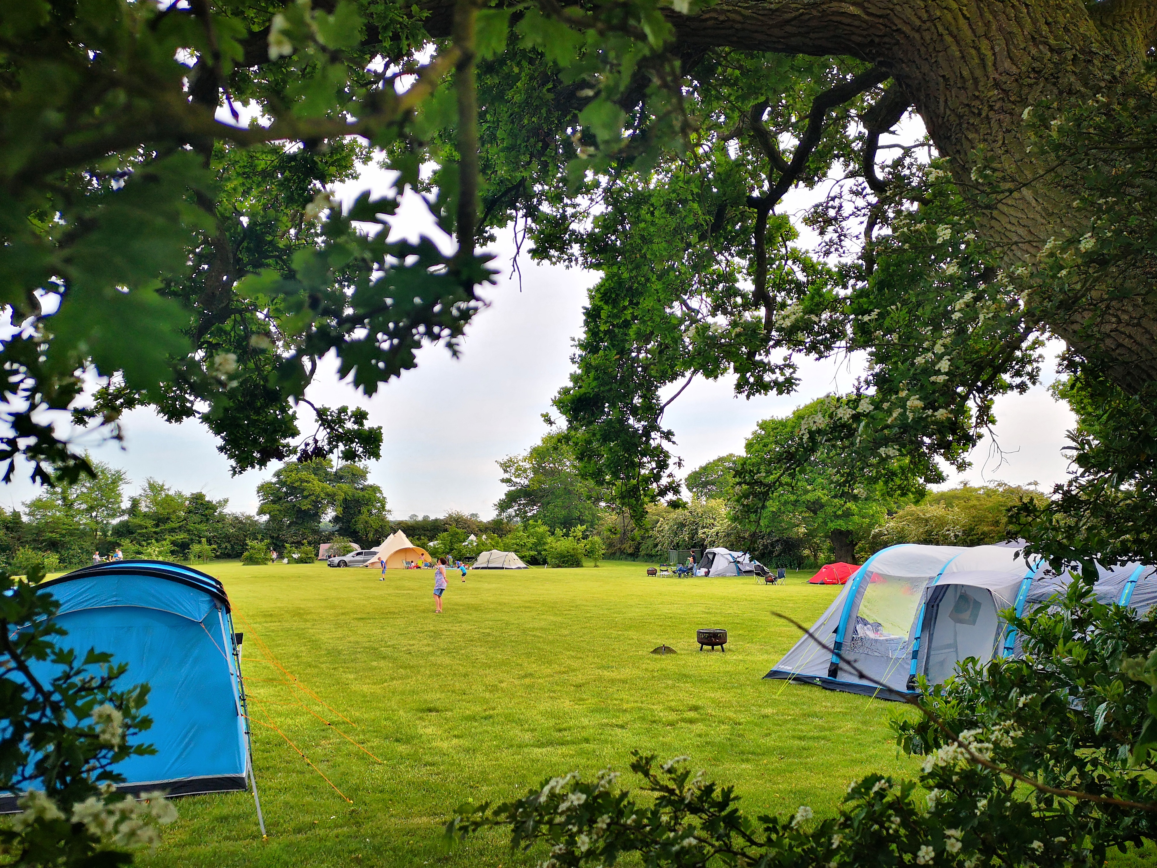 Le camping confortable dans le Suffolk dispose de modules de glamping et se trouve à quelques minutes en voiture de la mer.