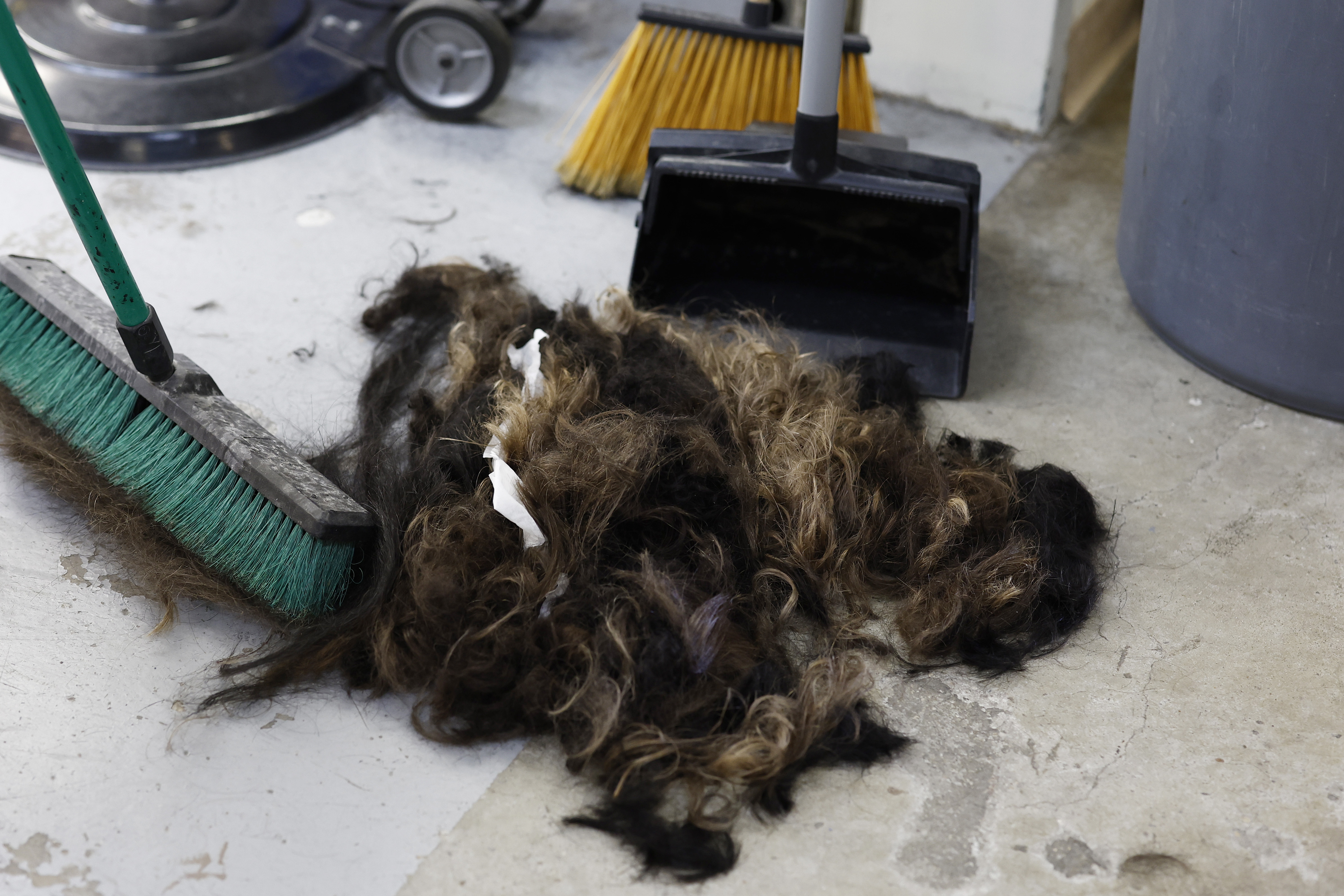 Mais les gens ont trouvé un moyen astucieux et GRATUIT de les éloigner : aller chez leur coiffeur local pour demander une coupe de cheveux.