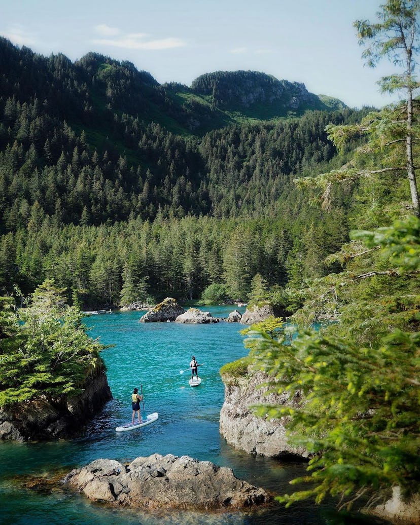 destinations de bains de forêt 