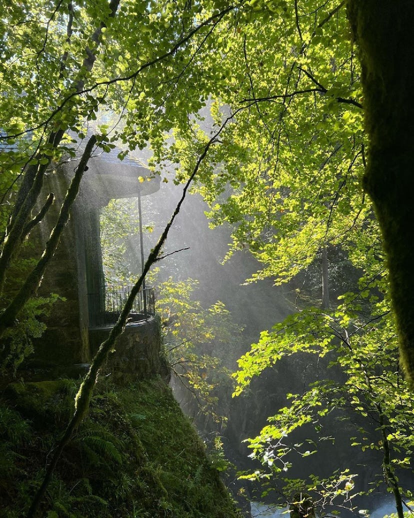 destinations de baignade en forêt