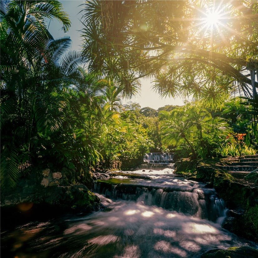 destinations de bains de forêt