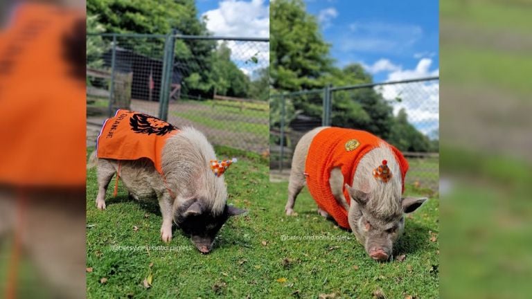 Betsy et Babs sont prêts aussi.