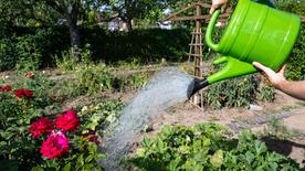 Une femme arrose un potager dans un jardin familial à Leipzig.  (image d'archive)