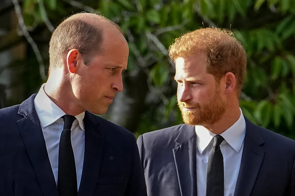 Le prince William et le prince Harry ont depuis vu leur relation se tendre au fil des années