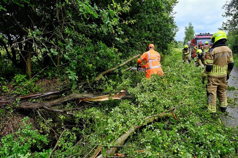 L'arbre est tombé dans la rue Gever à Haaren (photo : Toby de Kort/SQ Vision).