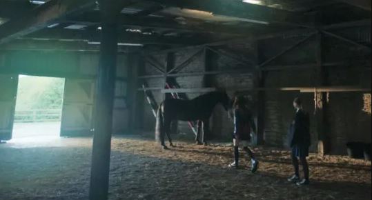 Les téléspectateurs ont été horrifiés par une scène écœurante impliquant un cheval, nommé Kingpin