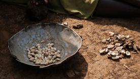 Une femme trie les fruits de la plante Kudra dans un bol posé au sol.