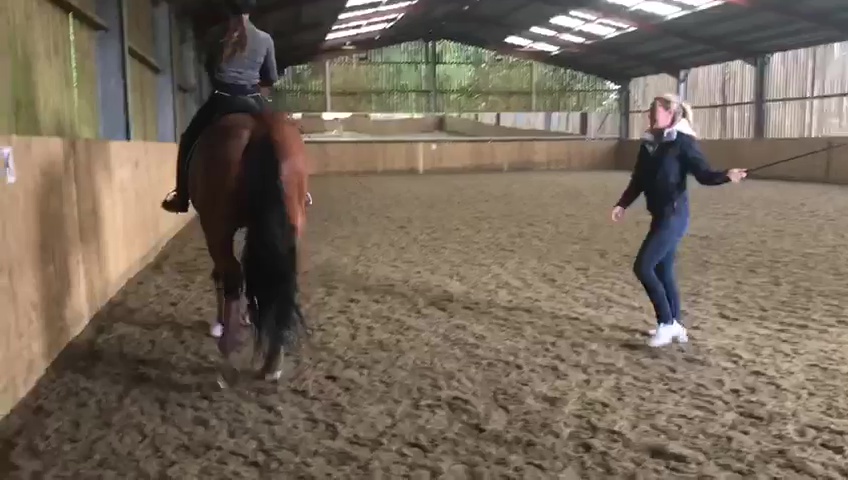 Un lanceur d'alerte a filmé Dujardin en train de fouetter un cheval sur les jambes