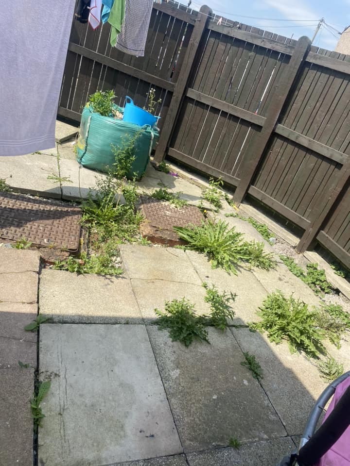 Une femme a demandé de l'aide pour trier son jardin après l'échec d'un désherbant normal