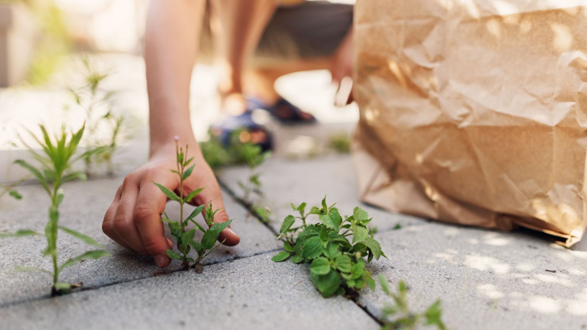 La solution secrète à 59p qui bannira les mauvaises herbes de votre terrasse pour de bon, comme le dit une maman : elles ne disparaîtront pas de son jardin